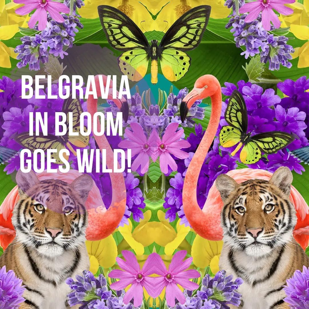 Belgravia goes ‘Into the Wild’ with LFT